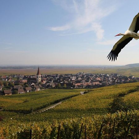 Les Chambres Du Vignoble Ammerschwihr Kültér fotó